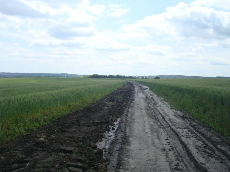 Стуфчинці з panoramio.com - Стуфчинцы