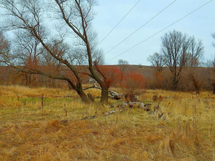 Булавинське з panoramio.com - Булавинське