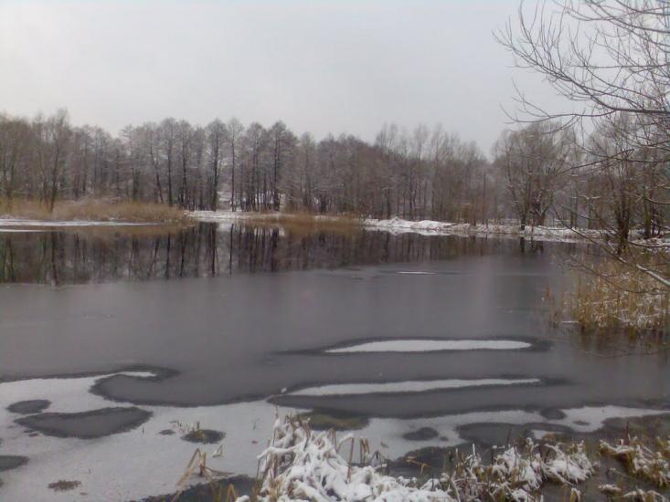 Радивилів з panoramio.com - Радивилов