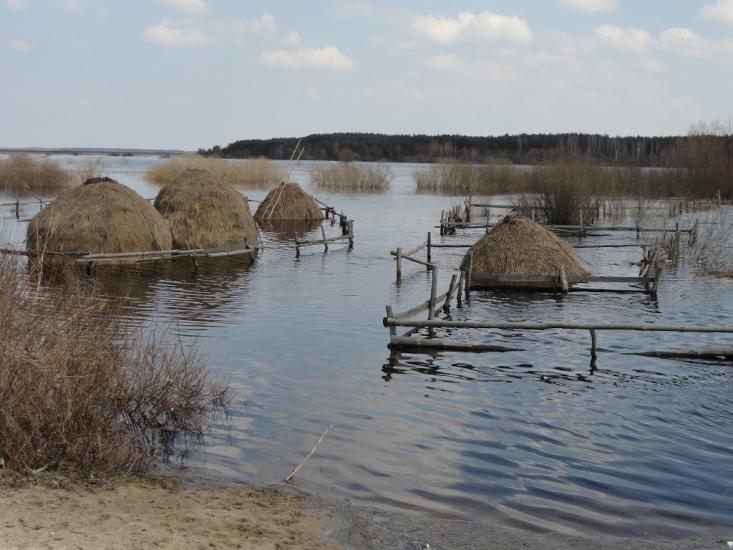 Люб'язь з panoramio.com - Любязь