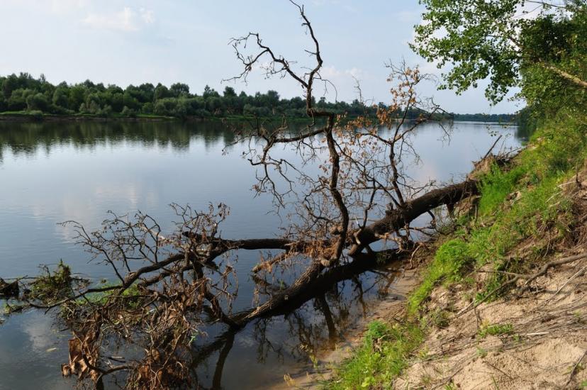 Скиток з panoramio.com - Скиток