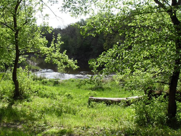 Підлісне з panoramio.com - Pidlisne