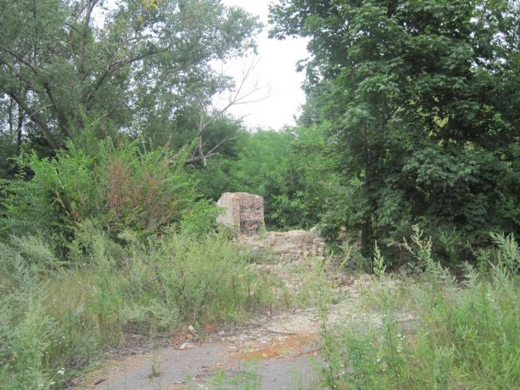 Павлиш з panoramio.com - Павлиш
