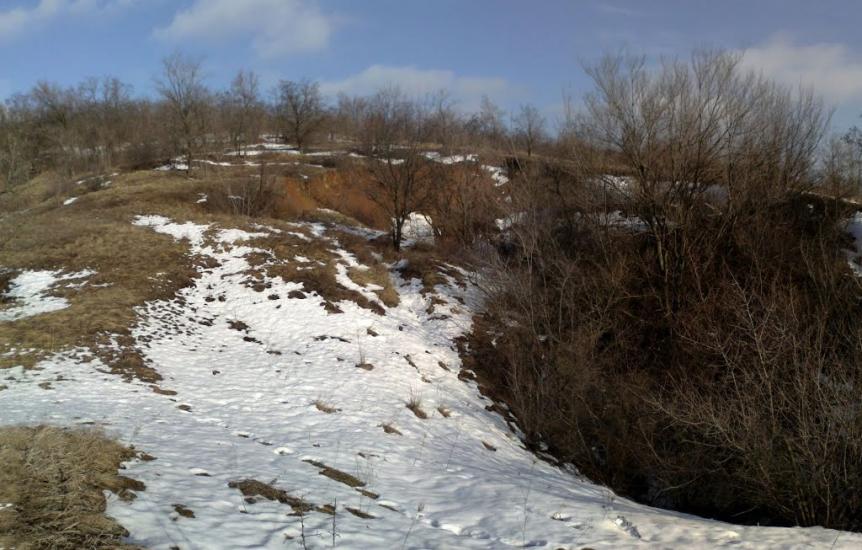 Зайцеве з panoramio.com - Зайцеве