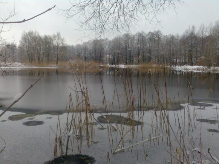 Радивилів з panoramio.com - Радивилов