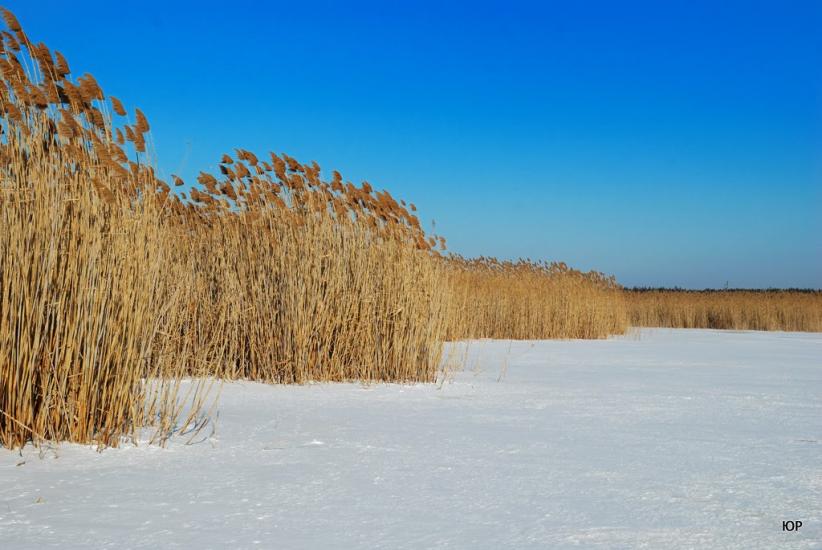 Велике Болото з panoramio.com - Великое Болото