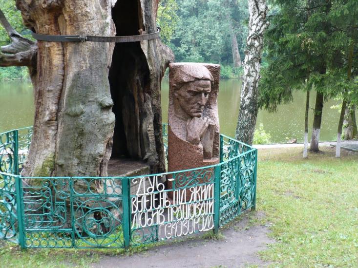 Сковородинівка з panoramio.com - Сковородинівка