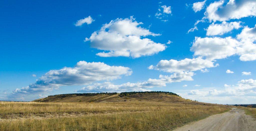 Городище з panoramio.com - Городище