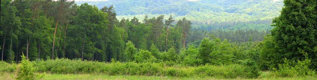 Гавареччина з panoramio.com - Гаваретчина