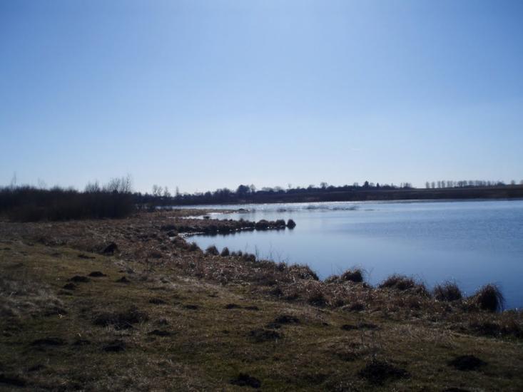 Рогізне з panoramio.com - Рогозное