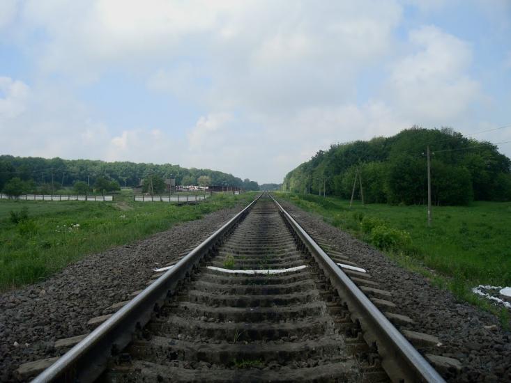 Нестерівці з panoramio.com - Нестеровцы