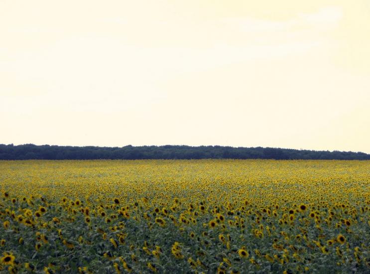 Обозівка з panoramio.com - Обозівка