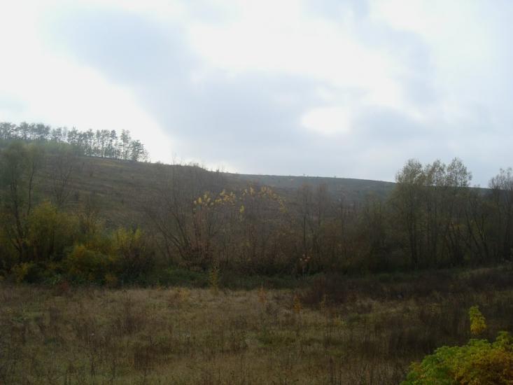 Кузьминчик з panoramio.com - Кузминчик