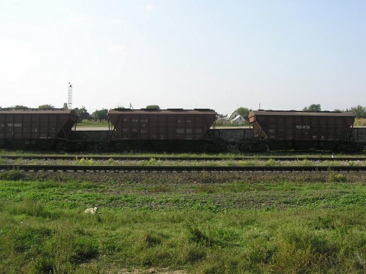 Павлиш з panoramio.com - Павлыш
