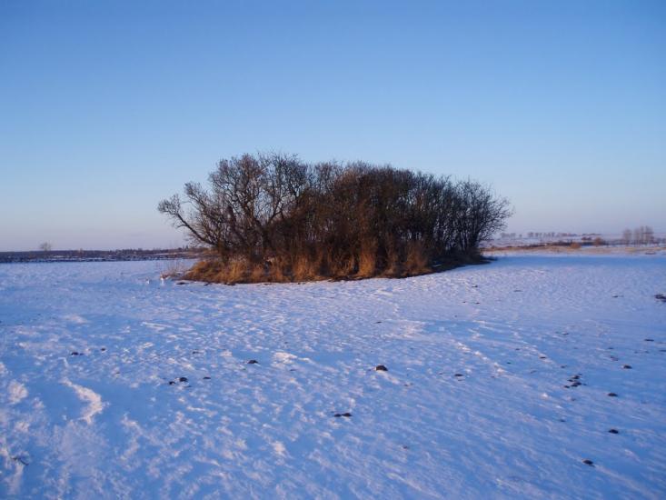 Рогізне з panoramio.com - Рогозное