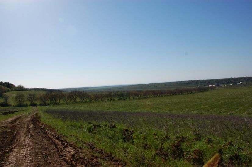 Фурмановка з panoramio.com - Фурмановка