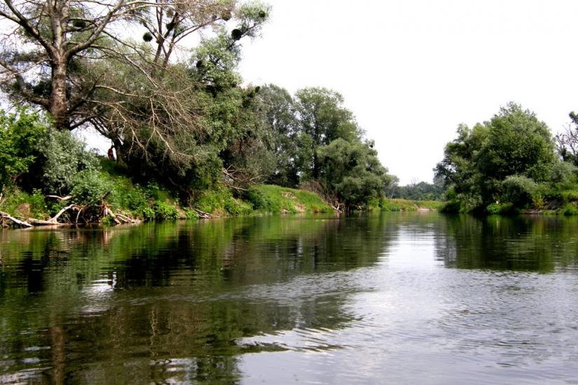 Синичине з panoramio.com - Синичине