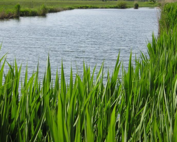 Юрківка з panoramio.com - Юрківка