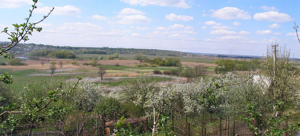 Литвинівка з panoramio.com - Литвиновка