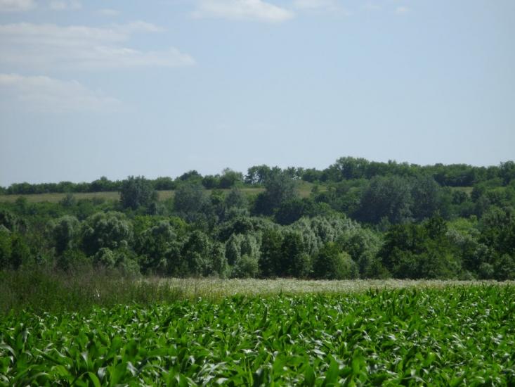 Брагинці з panoramio.com - Брагинці