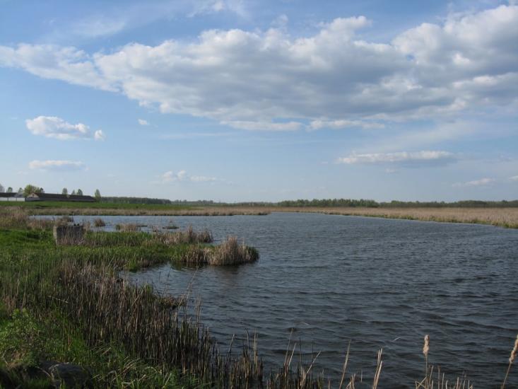Іванів з panoramio.com - Иванов