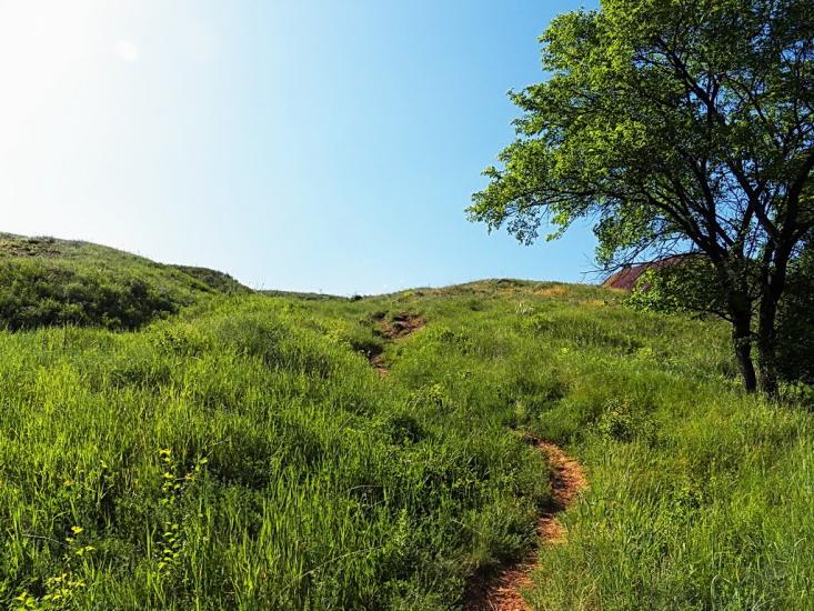Ольховатка з panoramio.com - Olkhovatka