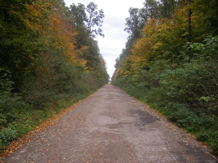 Борщівка з panoramio.com - Борщівка