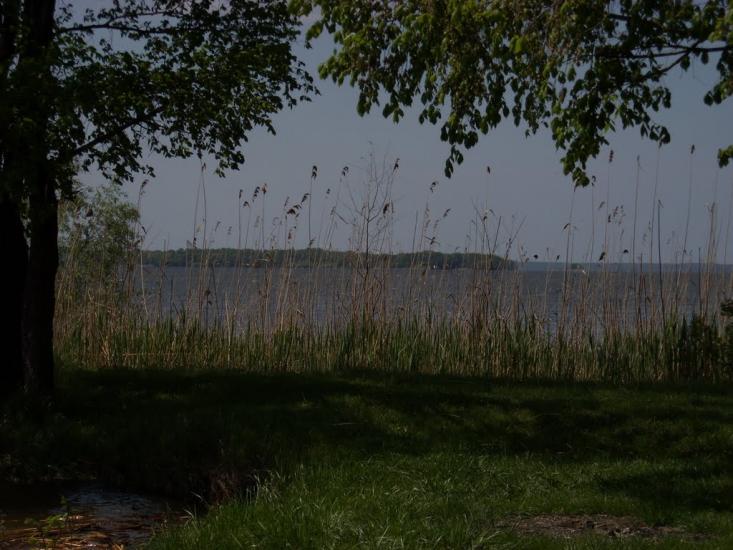 Святилівка з panoramio.com - Святиловка
