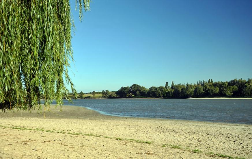 Білокузьминівка з panoramio.com - Білокузьминівка