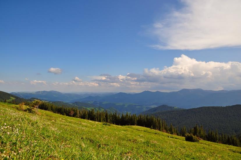Кривопілля з panoramio.com - Kryvopillya