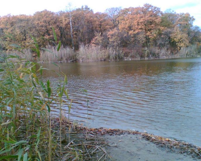 Книшівка з panoramio.com - Кнышовка