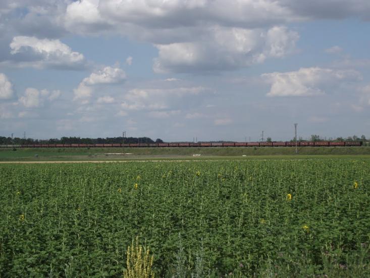 Удачне з panoramio.com - Удачное