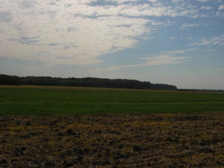 Лісна Поляна з panoramio.com - Лісна Поляна