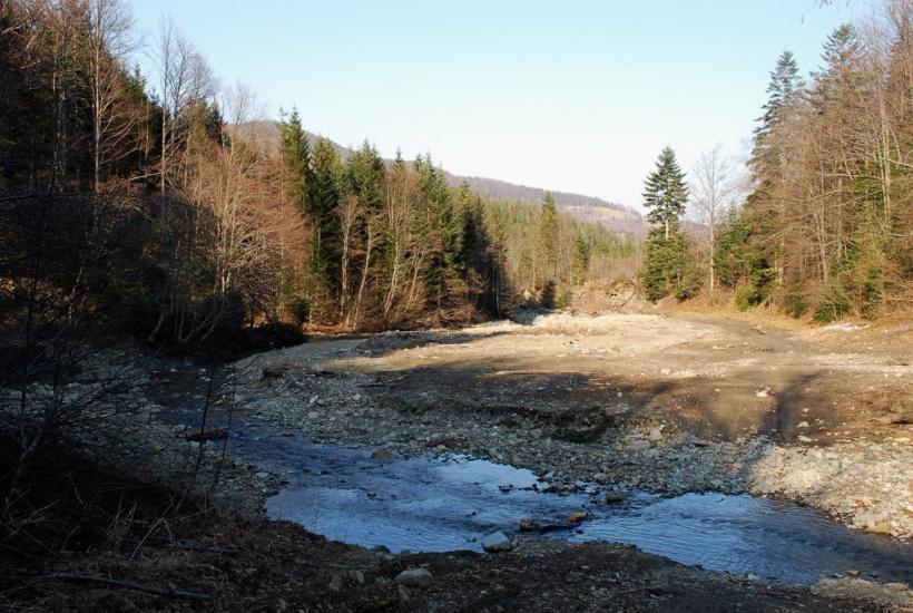 Кричка з panoramio.com - Кричка