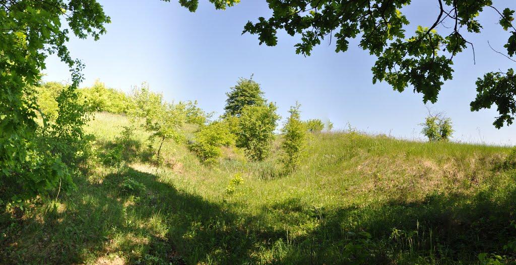 Великий Тростянець з panoramio.com - Великий Тростянец