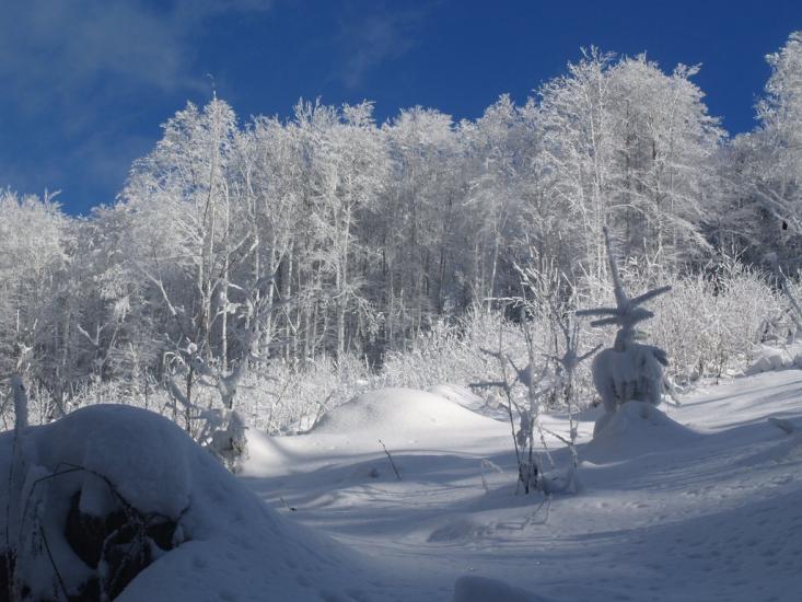 Руський Мочар з panoramio.com - Русский Мочар