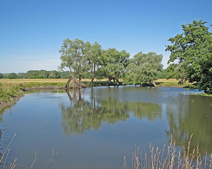 Бірки з panoramio.com - Борки