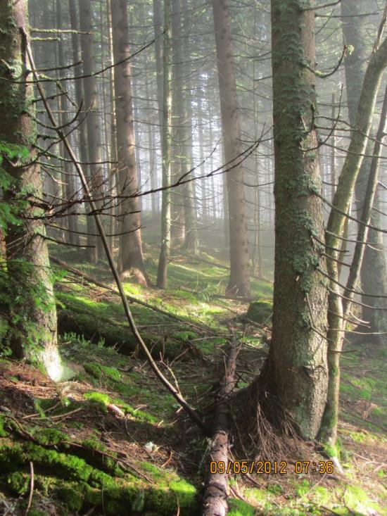 Мислівка з panoramio.com - Мислівка