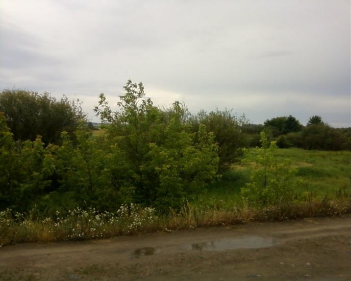 Вишевичі з panoramio.com - Вишевичі