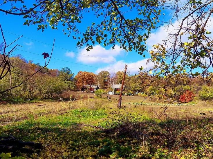Данилове з panoramio.com - Danylove