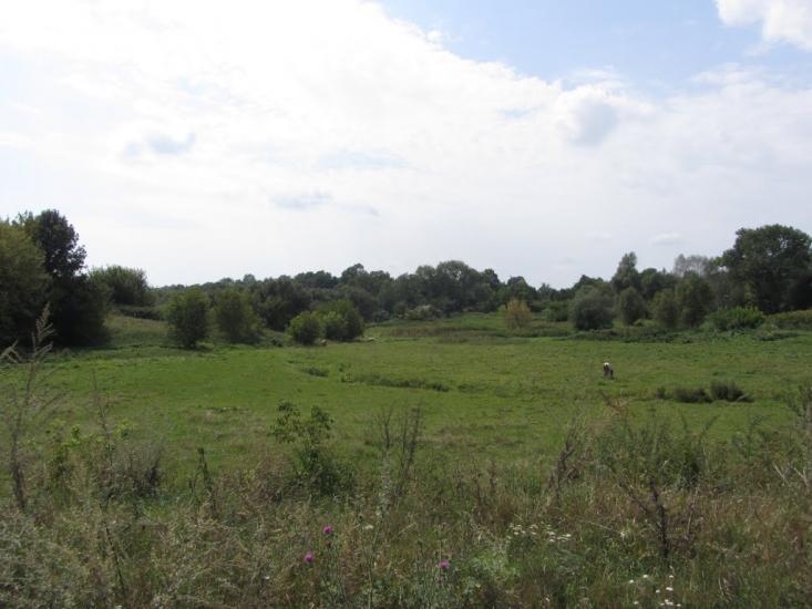 Попівка з panoramio.com - Попівка