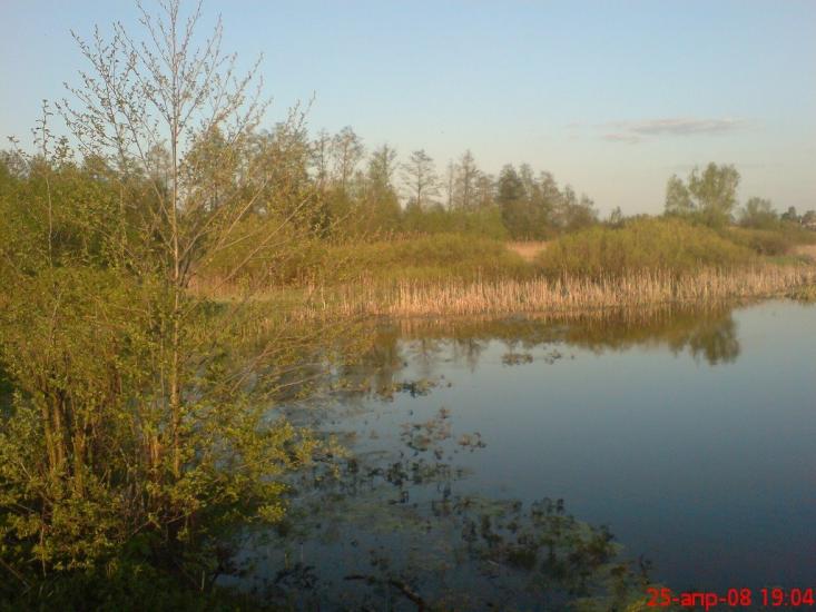 Піски з panoramio.com - Піски