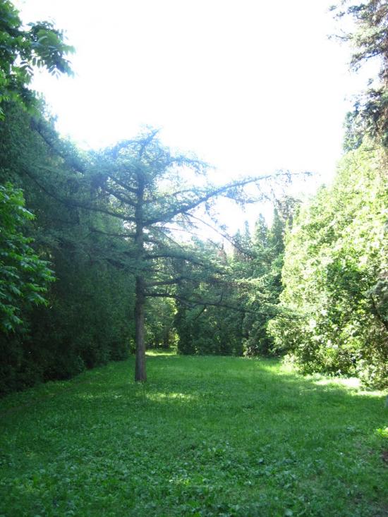 Бабичівка з panoramio.com - Бабичовка