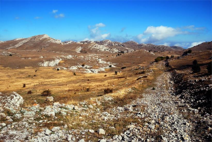 Запрудне з panoramio.com - Запрудне
