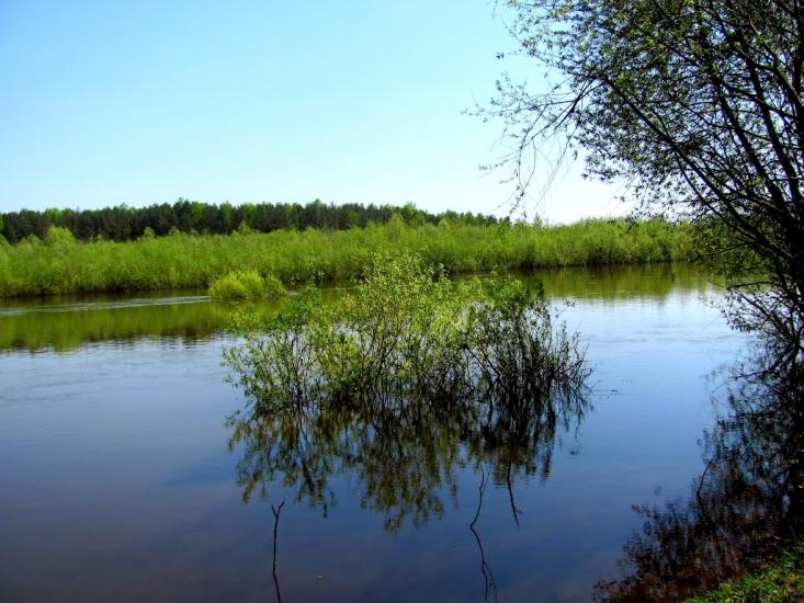 Сарни з panoramio.com - Сарни