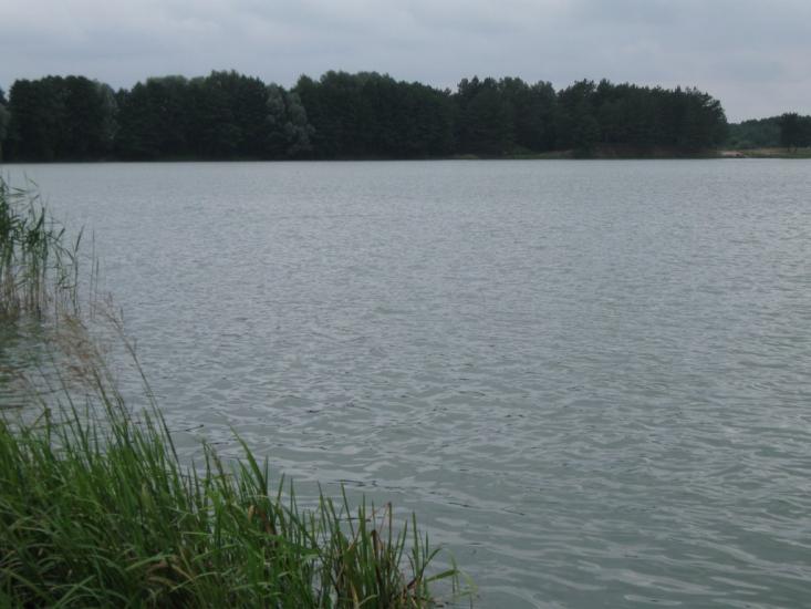 Линея з panoramio.com - Линея