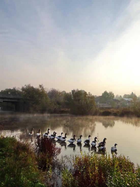 Калагарівка з panoramio.com - Калагаровка