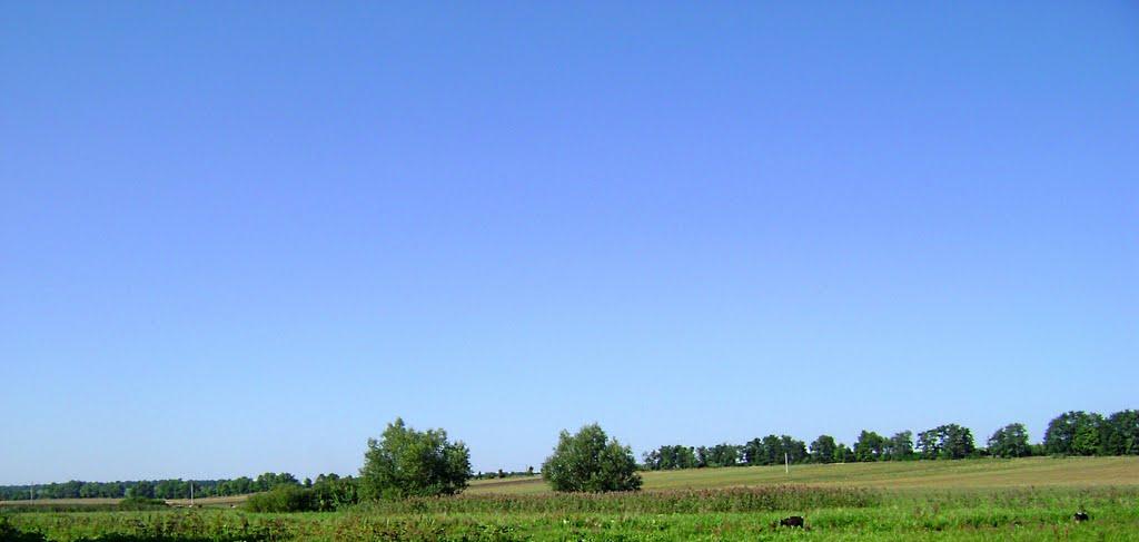 Гнатівка з panoramio.com - Гнатівка