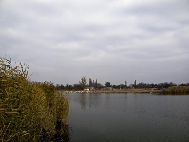 Суворовка з panoramio.com - Суворовка