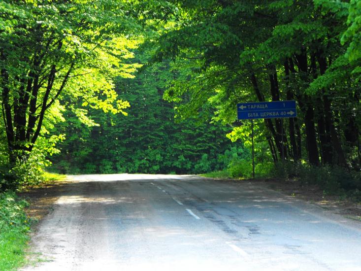 Тараща з panoramio.com - Тараща